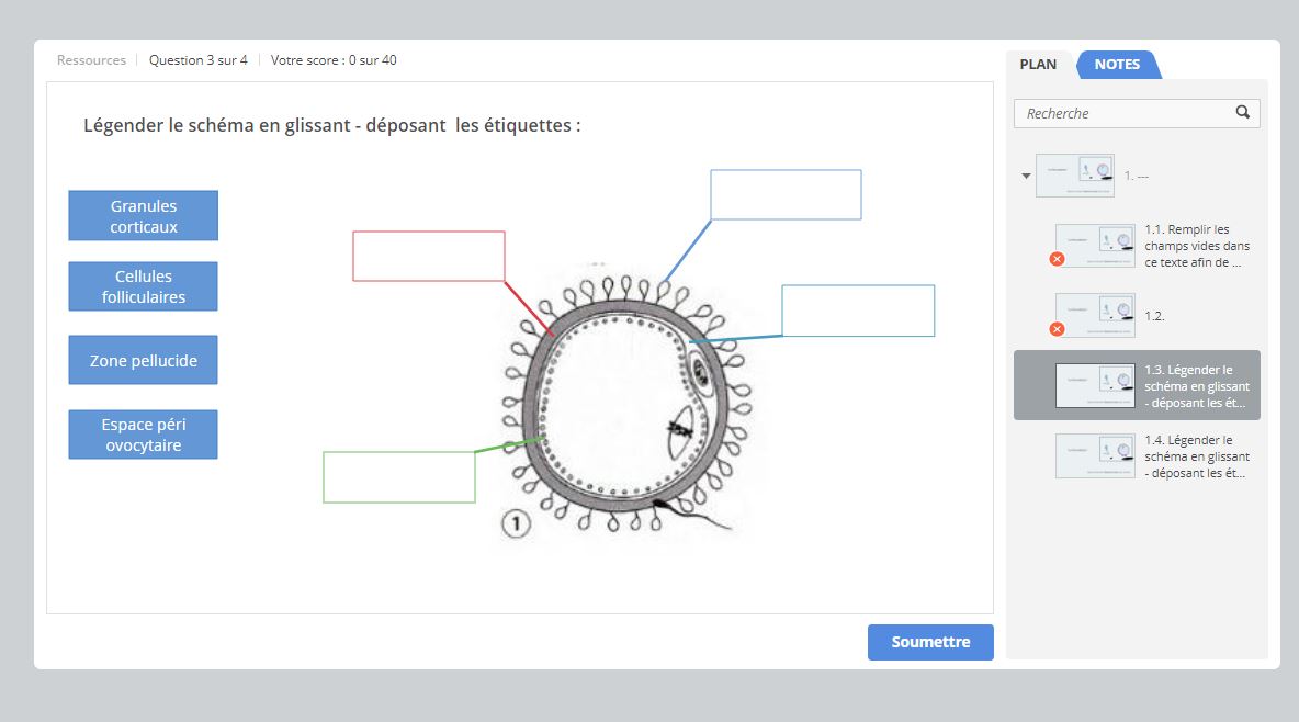 ifsi_ispring_quiz_glisser_déposer