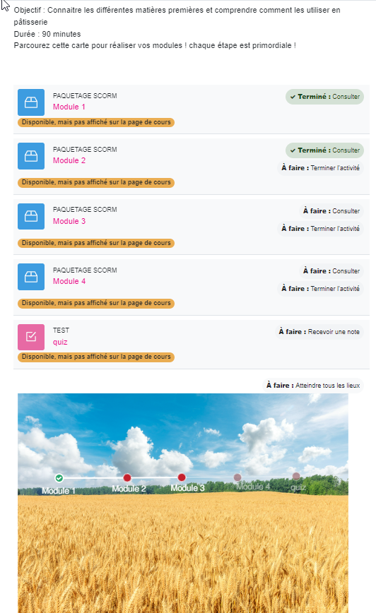 resultat formateur plugin learning map moodle