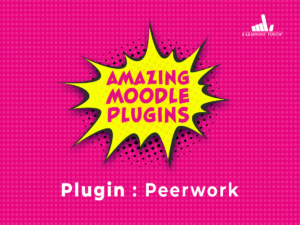 Vignette WP Amazing Moodle Plugins Peerwork