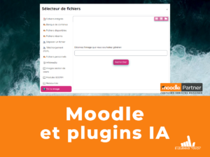 Vignette WP Moodle plugins IA