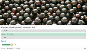 activite multiple choice h5p moodle