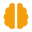 brain-solid.png